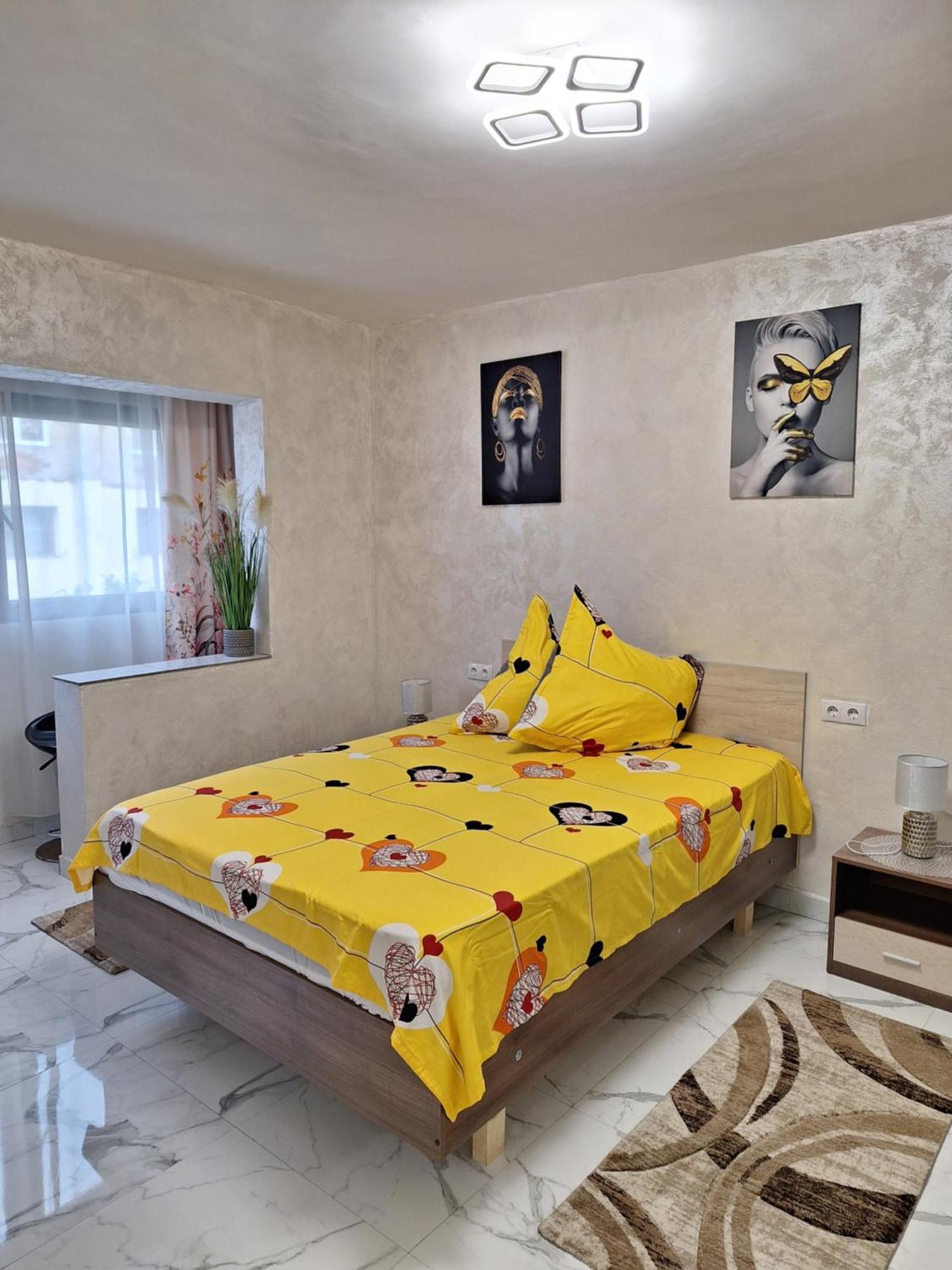 Apartament Timeea Băile Herculane Dış mekan fotoğraf
